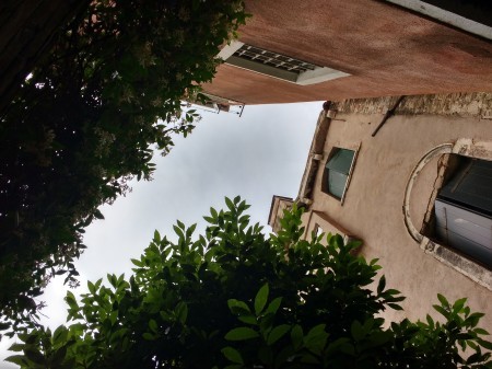 a0286469_21122559.jpg