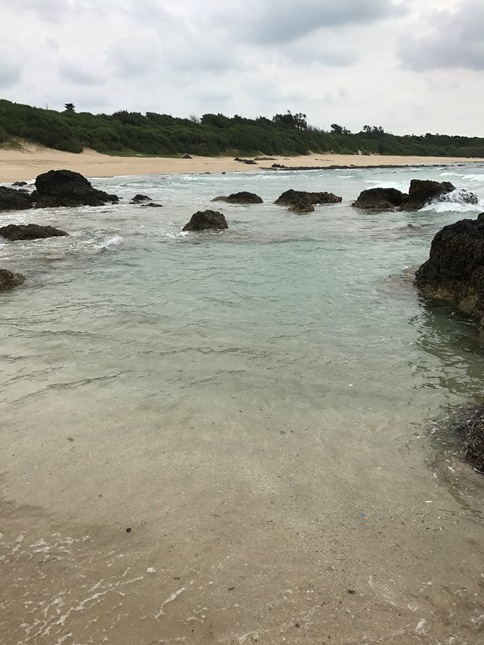f0009169_22412467.jpg