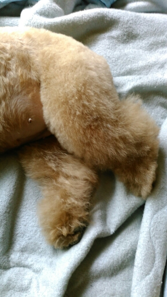 c0162773_01292717.jpg