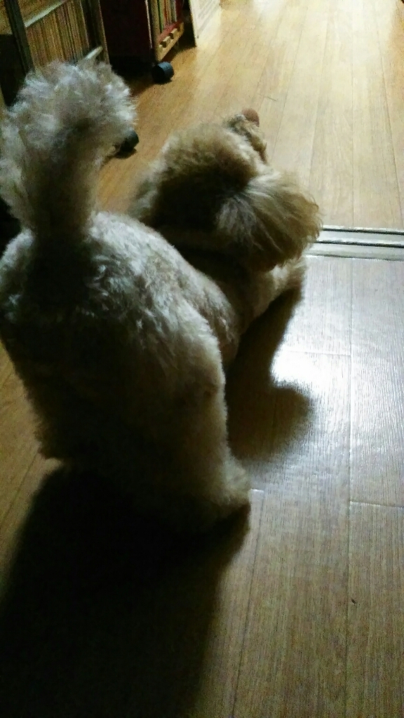 c0162773_01292943.jpg