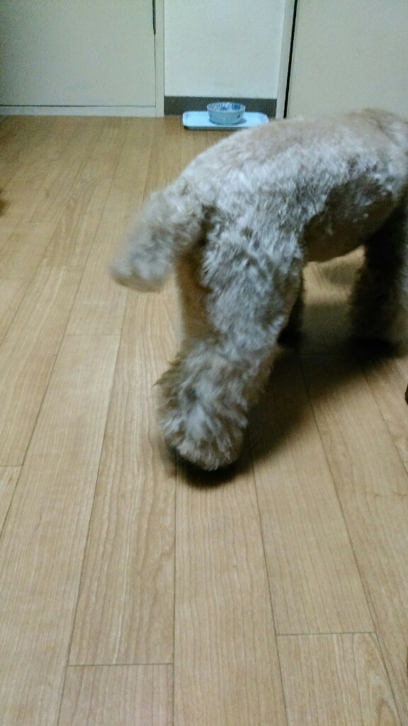 c0162773_01293682.jpg