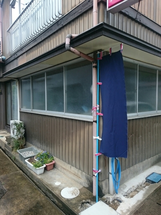 d0095673_17184026.jpg