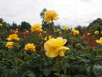 f0238789_20455967.jpg
