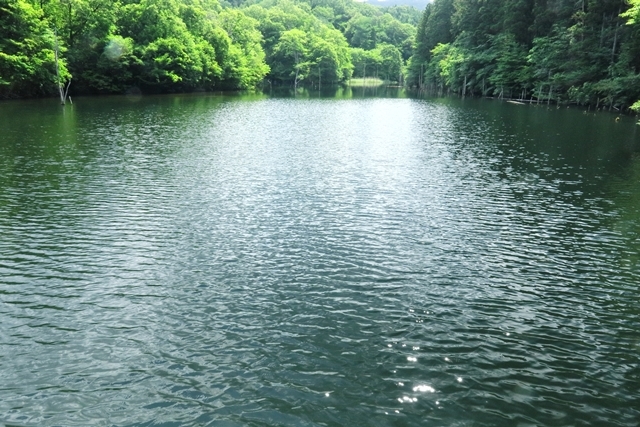 b0236595_19542754.jpg