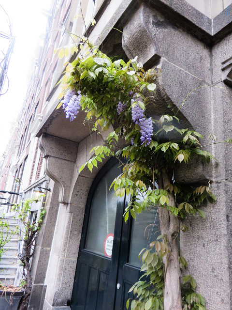 f0346196_15450126.jpg