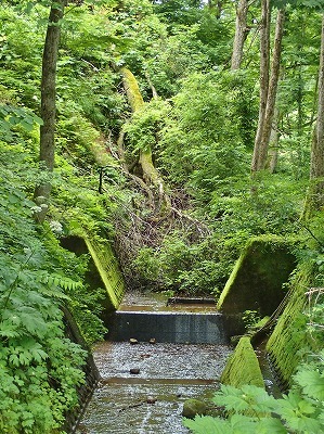 c0336902_11242773.jpg