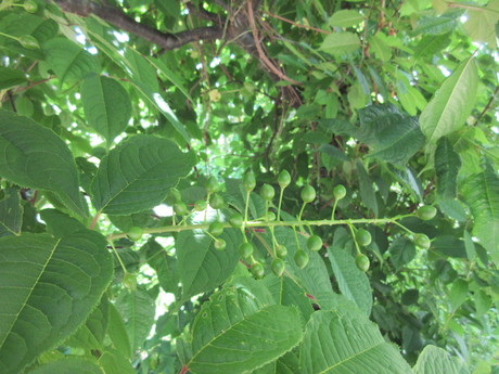 a0203003_134323.jpg