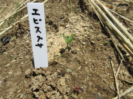 a0203003_13441798.jpg