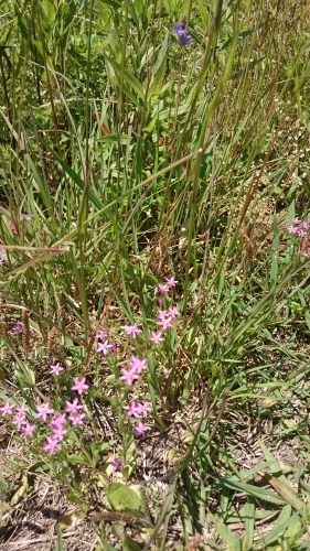 e0351303_23224044.jpg