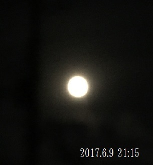 f0162908_21230323.jpg