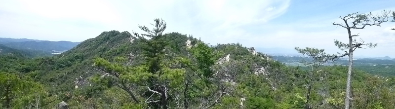 d0170615_12453739.jpg