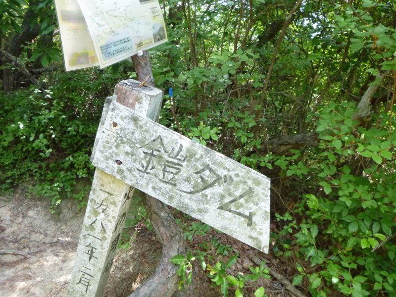d0170615_12454707.jpg