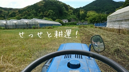 b0187620_20420290.jpg