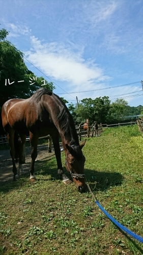 b0187620_20420661.jpg