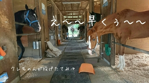 b0187620_20423622.jpg