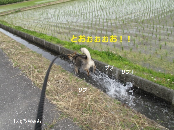 f0143123_11354760.jpg