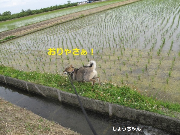 f0143123_11360295.jpg