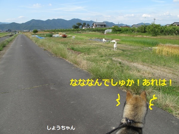 f0143123_14262359.jpg