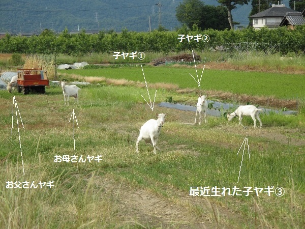 f0143123_14272963.jpg