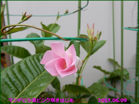 e0033229_18174383.jpg