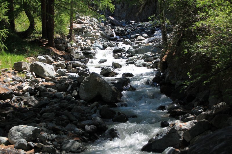 c0355331_15431710.jpg