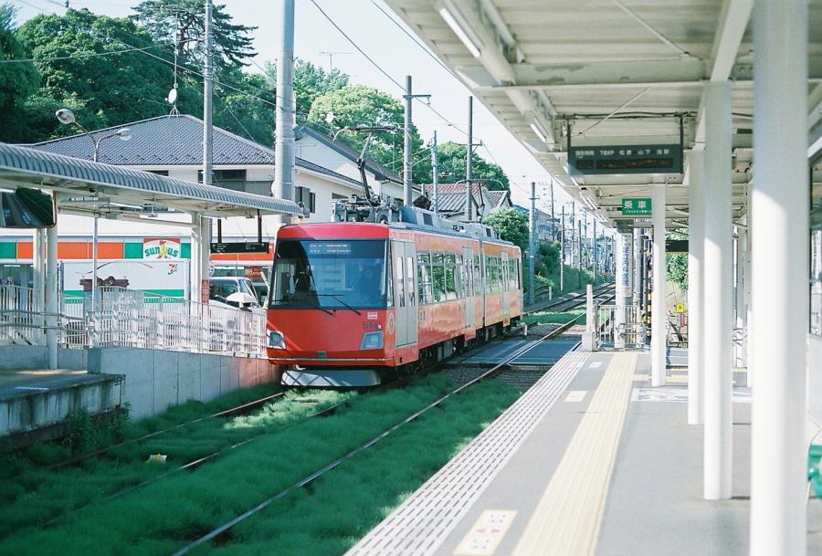 f0358531_19422216.jpg