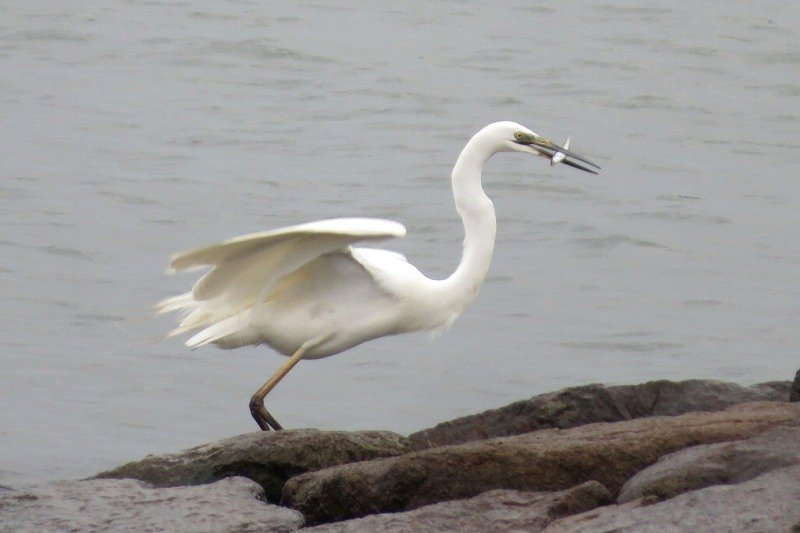 a0017634_18265178.jpg