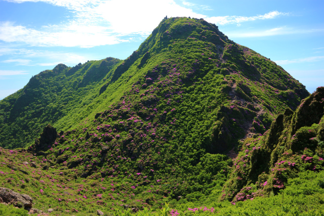 e0272335_16314877.jpg