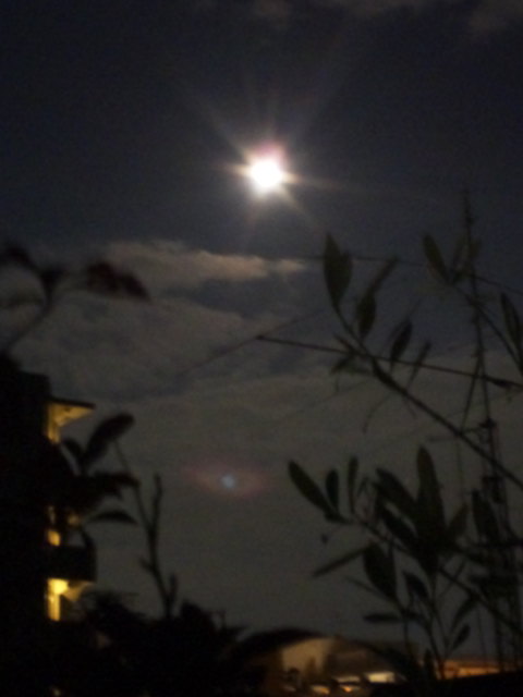 c0056437_9591793.jpg