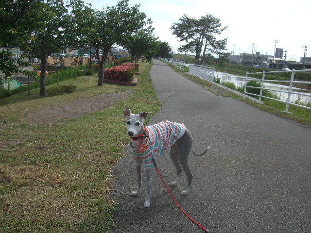 f0363538_19433594.jpg