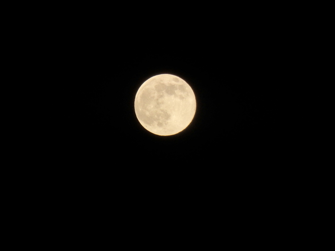a0054240_2150931.jpg