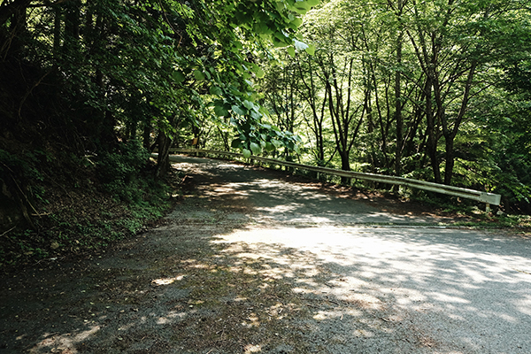 c0228742_23145776.jpg