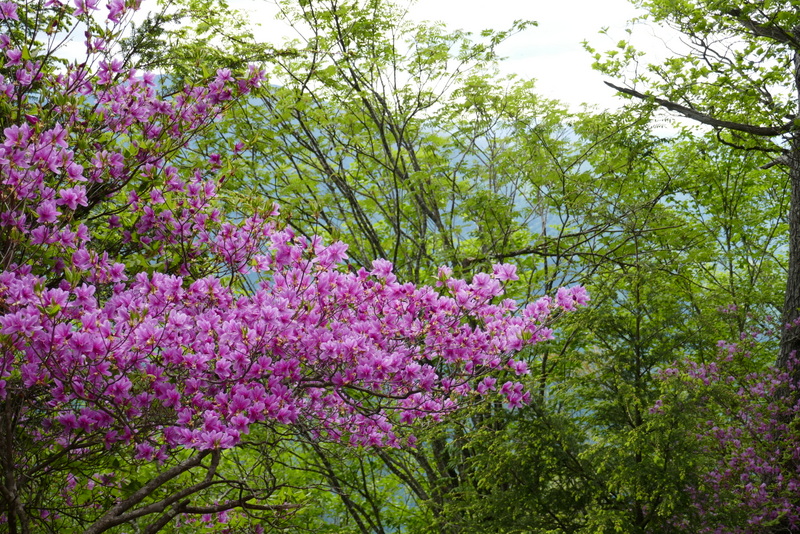 a0091843_20523474.jpg