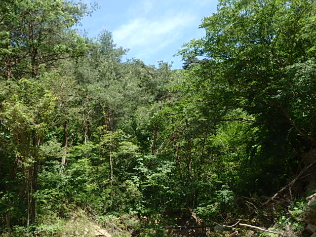 f0334143_7154065.jpg