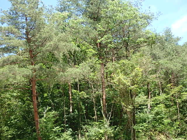 f0334143_715474.jpg