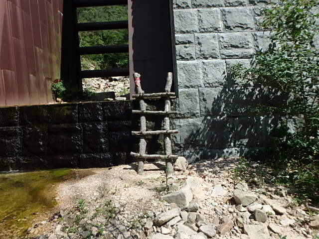 f0334143_7195128.jpg