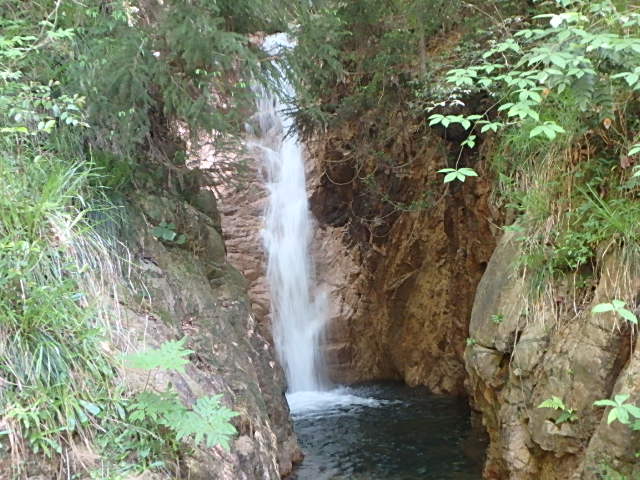 f0334143_7292811.jpg