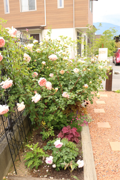 c0359445_05241336.jpg