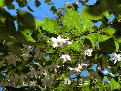 f0019247_16363675.jpg