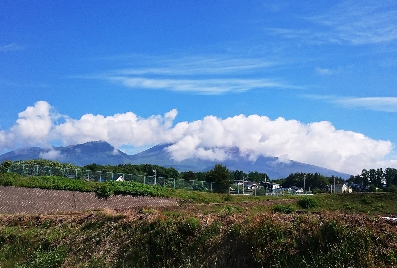 d0306248_14034748.jpg