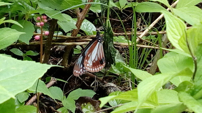 b0126549_9572939.jpg