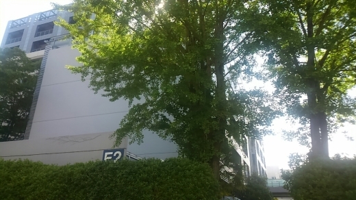 a0004752_14454442.jpg