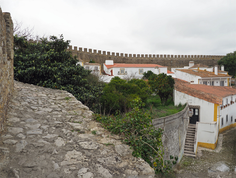 f0140054_851355.jpg