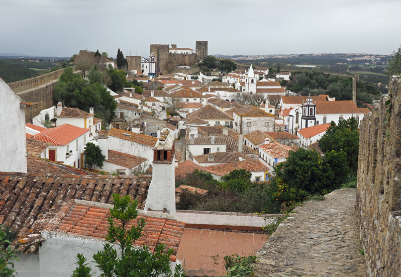 f0140054_87342.jpg