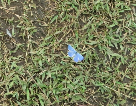 a0018655_14245933.jpg