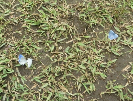 a0018655_14250430.jpg