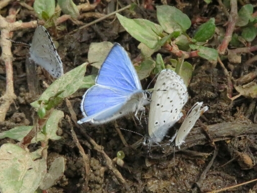 a0018655_14251329.jpg