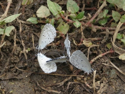 a0018655_14252123.jpg