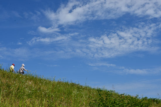 b0016557_15442762.jpg