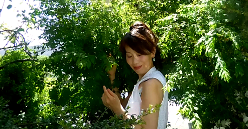 d0178659_23152222.png